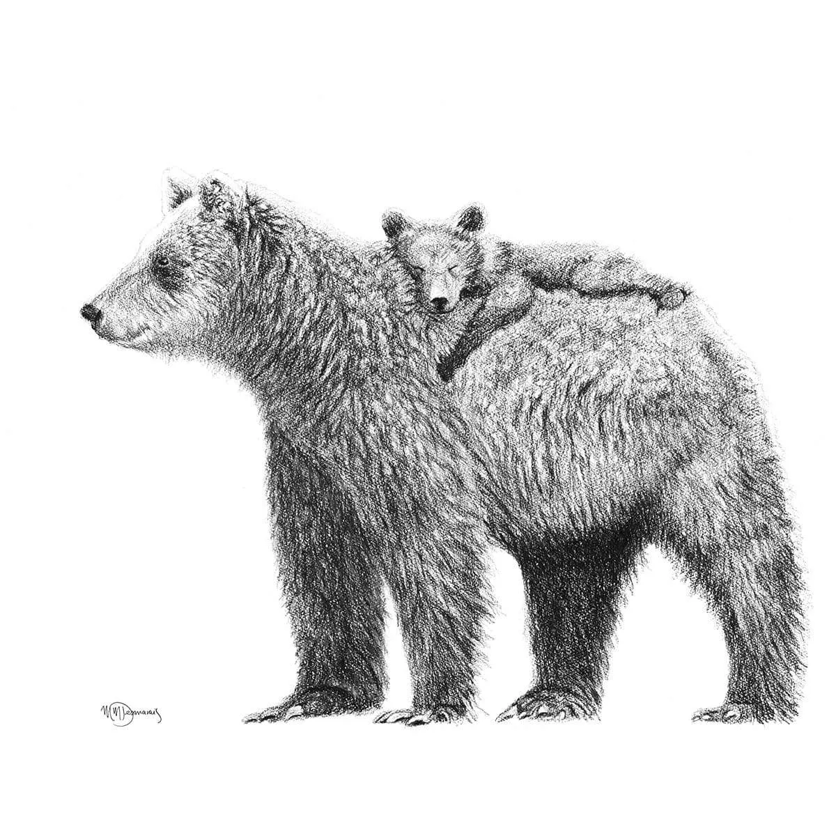 Grizzly with cub - "Social Animal" Collection